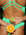 Close back view of JAYD Swimwear athletic one piece Zimmy in Meadow Green.