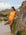Front view of model on the beach wearing JAYD Swimwear athletic Zimmy one piece in colour shade Sunshine.