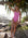 JAYD Swimwear, athletic one piece, Finley in the Fairy Floss colour.