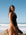 Madi in a black JAYD one piece called Albi standing on a rocky beach with clear blue sky and ocean.