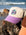Salty Summer embroidery design on the cream JAYD Swimwear baseball cap with purple brim, sitting on a rock with the ocean in the distance.